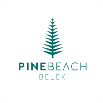 pine beach logo pine beach logo